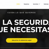 12vasecuritycorp